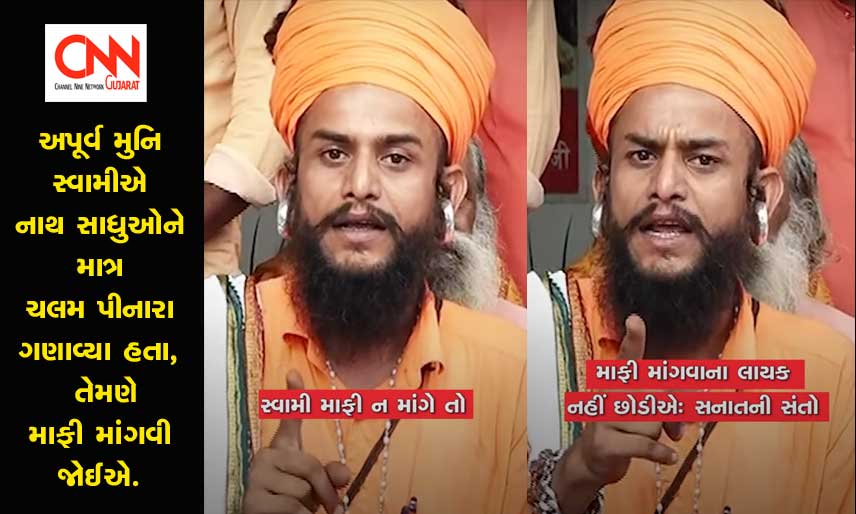 sanatani sadhu sant