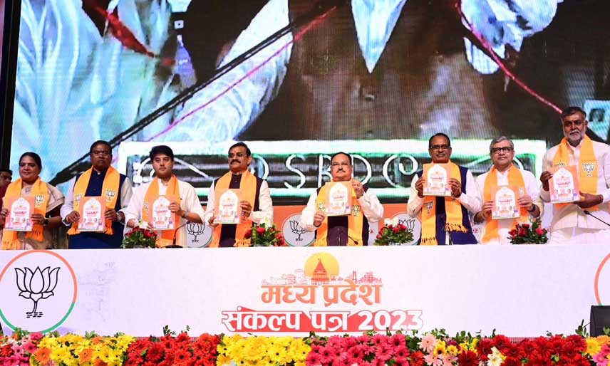 bjp-mp