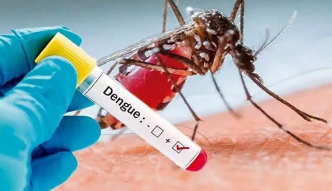 India reported-dengue-deaths-in-2023