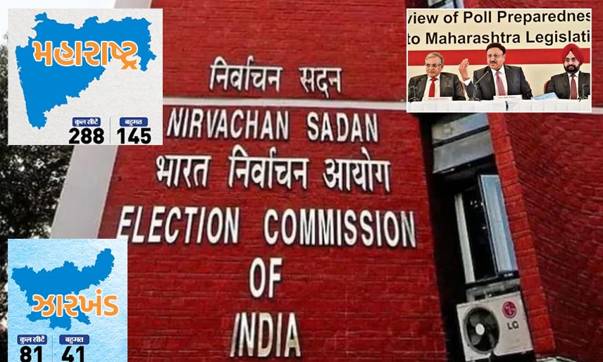 election-date-declare