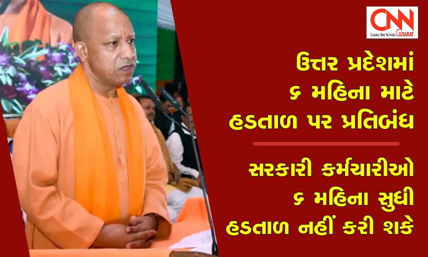 cm-yogi