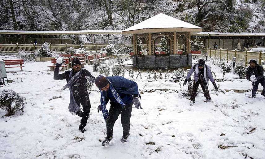 shimla-manali