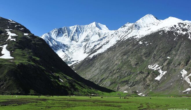 KASHMIR
